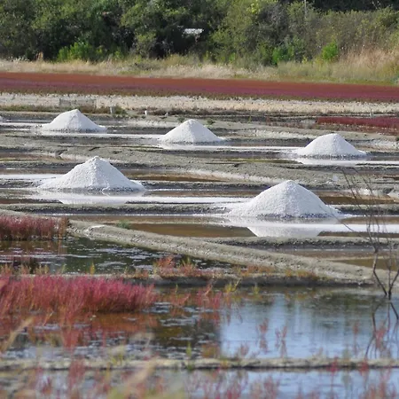 En Briere Avec Jardin Et Terrasse - Fr-1-306-1312